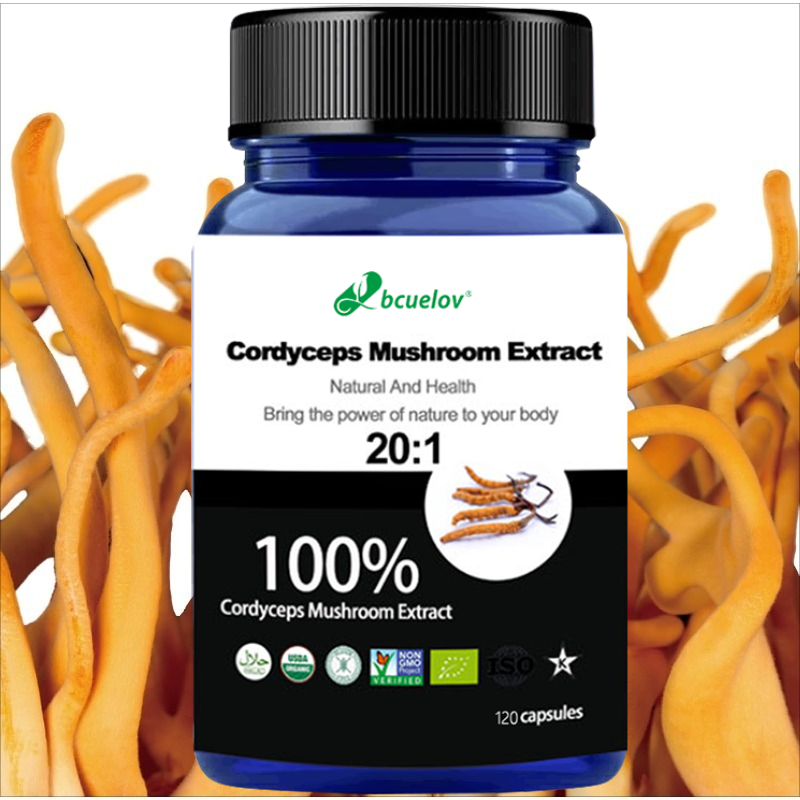 Cordyceps Mushroom Extract Cap - Herbal Wellness Water ulasan dan harga